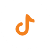 TikTok Icon