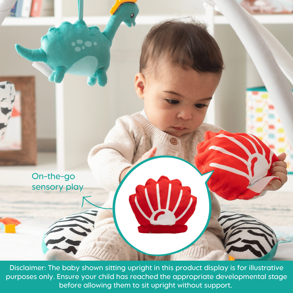 Look & Love Play Kit